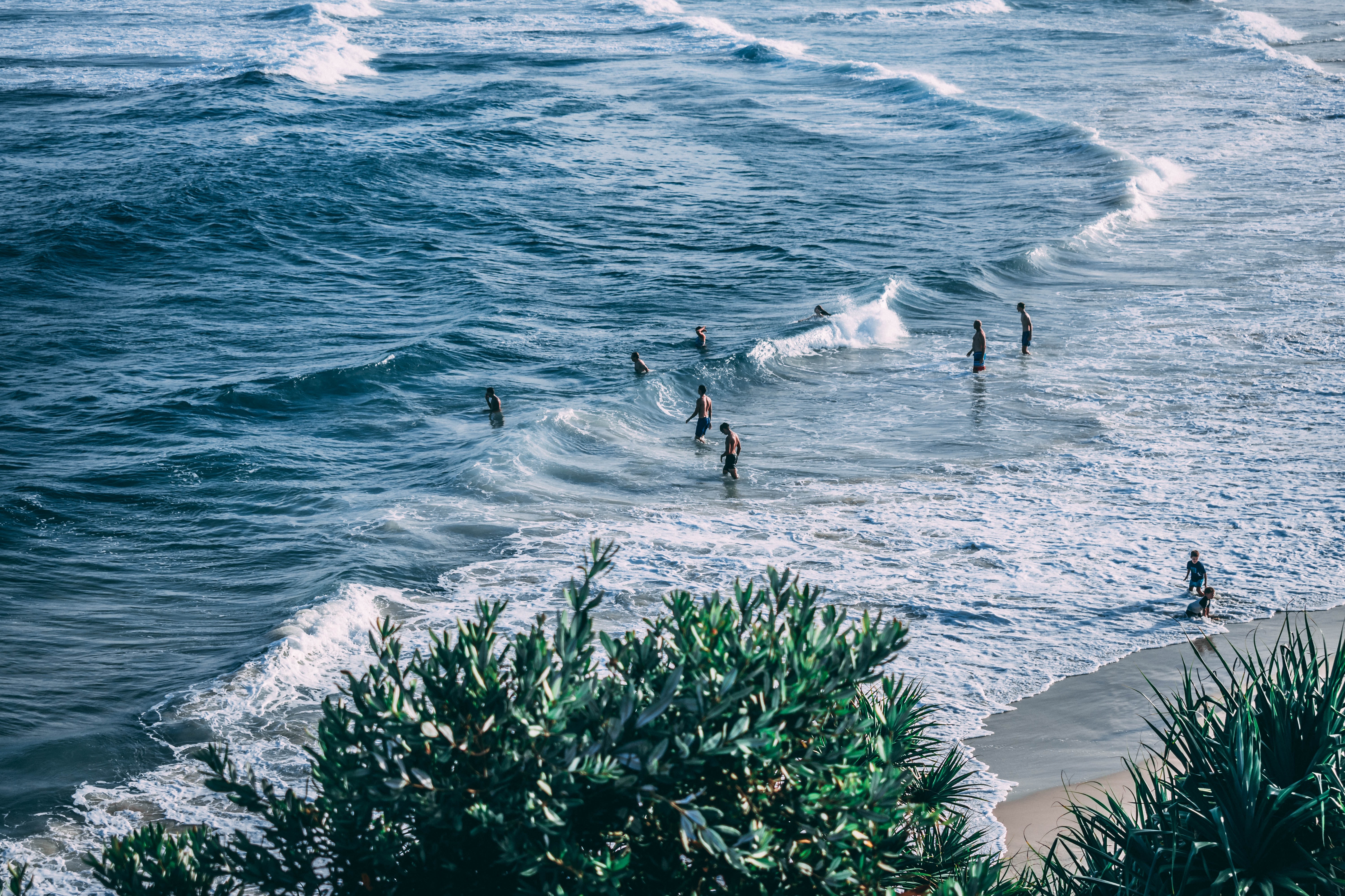 dylan singh V rzVi6Y E unsplash